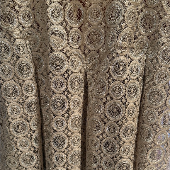 Anthropologie Chic Lace Blouse in Taupe with Metallic Thread - Picture 3 of 5